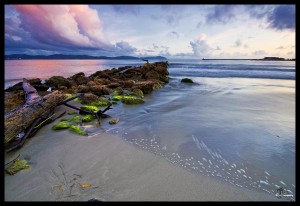 El amor de Dios y el sometimiento del hombre