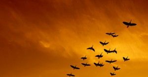 Un líder que se prepara para enfrentar problemas