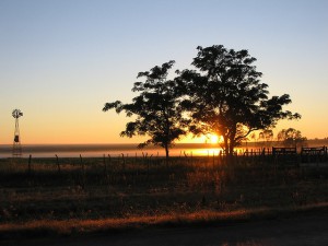 Aprendiendo a confiar en Dios en medio de un callejón sin salida