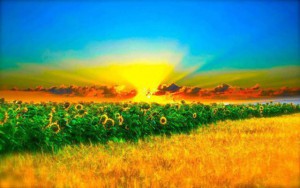 Las dificultades no podrán detenernos