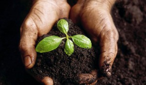 Sembrar nuevas iglesias: la visión de Dios y hoy, nuestro compromiso (Lección 1)