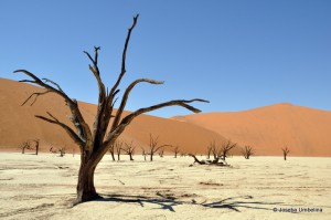 Sea libre de enfermedades producidas por actividad ocultista