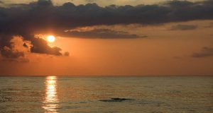 Comience hoy la transformación de su vida personal y familiar