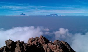 Dios descubre joyas donde los demás ven ruinas