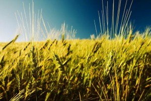 Revise su actitud hacia las bendiciones de Dios