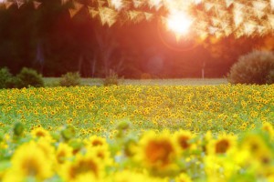Viva para Dios y reciba las bendiciones