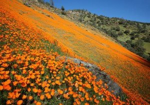 Desde el 28 hasta el 31 de diciembre disfrute de una Semana de Bendiciones
