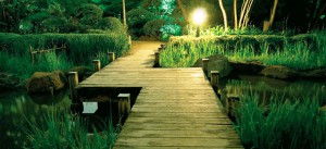 Una ruta sencilla de oración para que los milagros ocurran (Lección 4 – Nivel 4)