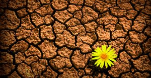 Resiliencia para enfrentar momentos difíciles de la vida