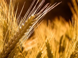 Decídase a conservar las bendiciones de Dios en su vida