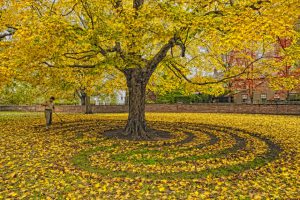 Es tiempo para salir del laberinto