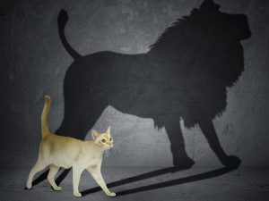 La historia del fracasado que llegó a ser bendecido por Dios