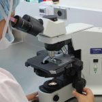 microscopio