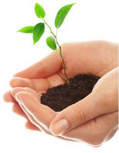 Estrategias eficaces en la siembra de nuevas iglesias (Lección 7)