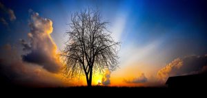 Gracias al Señor Jesús tenemos asegurado un lugar por la eternidad