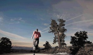 Avive sus sueños y no se deje vencer por los obstáculos