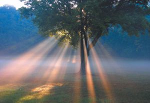 La ruta para entrar en la tierra de la bendición de Dios