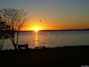 Dios nos hizo más que vencedores