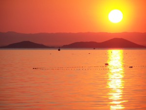 Una actitud de fe ante la crisis