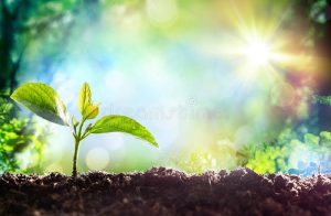 Comenzando una nueva vida en victoria