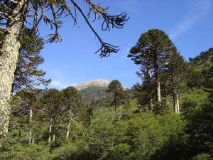 Estamos llamados a cambiar y emprender una nueva vida