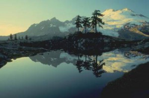 Estuvo muerto 45 minutos y volvió a la vida