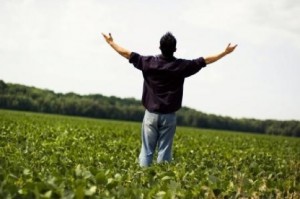 El discipulado: Paso a paso con Jesús (Conclusión – Nivel 2)