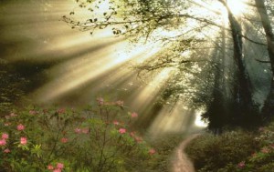 Dios desea que seamos vasos útiles en Su Reino