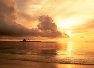 ¿Cometió errores? Hay oportunidad para empezar de nuevo