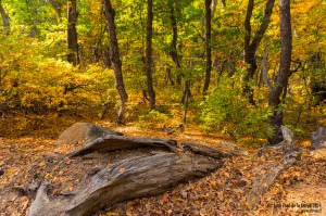De la muerte a la vida, hay una oportunidad