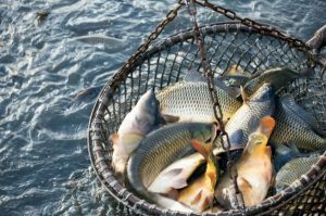 Una ruta sencilla pero eficaz para que ocurran los milagros