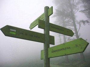 Dispóngase para ser útil en manos de Dios