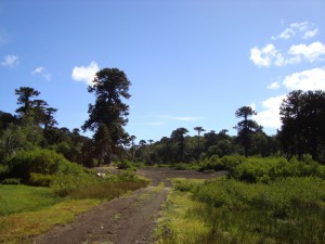 Camino hacia la intimidad espiritual con Dios