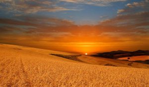 Reciba milagros conforme a su fe